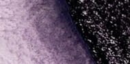 cd548b663da48b656d7c5dff9c07ec21