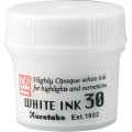 ZIG CARTOONIST WHITE INK - CNCE201-3.JPG
