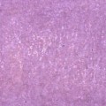 19c6ce91a0ed7ac73907e829c85298e8