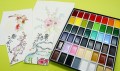 Kuretake Gansai Tambi - 48 COLOUR SET VII.jpg