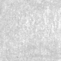 0af0f1cd818777d065cdfe20643a69ca