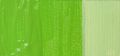 Farba Akrylowa Pidilite 34 LEAF GREEN Fevicryl 50ml kolor.png