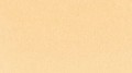 Clean Color Real Brush 002 FLUORESCENT ORANGE kolor.jpg