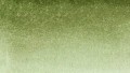 Clean Color Real Brush 043 OLIVE GREEN kolor.jpg