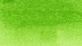 Clean Color Real Brush 041 LIGHT GREEN kolor.jpg