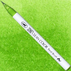 Clean Color Real Brush 041 LIGHT GREEN