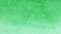 Clean Color Real Brush 048 EMERALD GREEN kolor.jpg