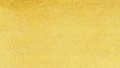 Clean Color Real Brush 063 OCHRE kolor.jpg