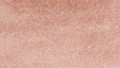 Clean Color Real Brush 069 BLUSH kolor.jpg