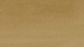 Clean Color Real Brush 066 DARK OATMEAL kolor.jpg