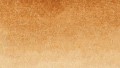 Clean Color Real Brush 067 MUSTARD kolor.jpg