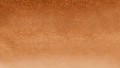 Clean Color Real Brush 072 BEIGE kolor.jpg
