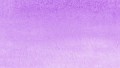 Clean Color Real Brush 081 LIGHT VIOLET kolor.jpg