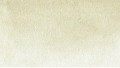 Clean Color Real Brush 098 PALE DAWN GRAY kolor.jpg