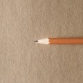 SMLTArt Authentic Brown słonie powierzchnia papieru 1200pxl.jpg