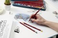 Derwent Pastel Pencils rysowanie papugi.JPG