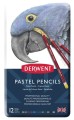 Derwent Pastel Pencils 12 pasteli w kredce.JPG