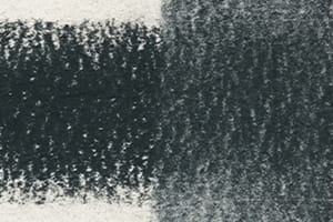 2301678 Tinted Charcoal Pencil Forest Pine TC14.jpg