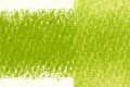 2300277 Pastel Pencil May Green P480.jpg