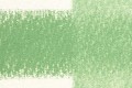 2300272 Pastel Pencil Pea Green P430.jpg