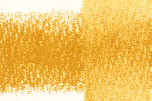 2300235 Pastel Pencil Dandelion P060.jpg