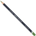 Derwent Procolour 50 Moss Green 2302482.JPG