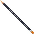 Derwent Procolour 09 Deep Chrome 2302441.JPG