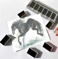 Kuretake Gansai Tambi GRAPHITE COLORS 6 szt. MC20GR6V ilustracja.jpg