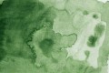 504 Green Gray.jpg