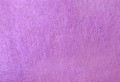 861 Gem Violet_.jpg