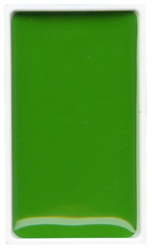 FARBA-AKWARELOWA-KURETAKE-GANSAI-TAMBI-051-MAY-GREEN.jpg