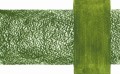 2306173 Inktense XL Block Leaf Green 1600.jpg