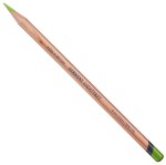 Derwent Lightfast kredka artystyczna GRASS GREEN (70%)