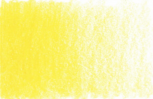 sunflower.jpg