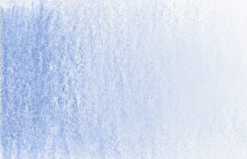 periwinkle.jpg