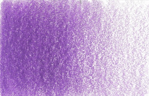lilac.jpg