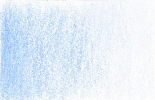 blue orchid.jpg
