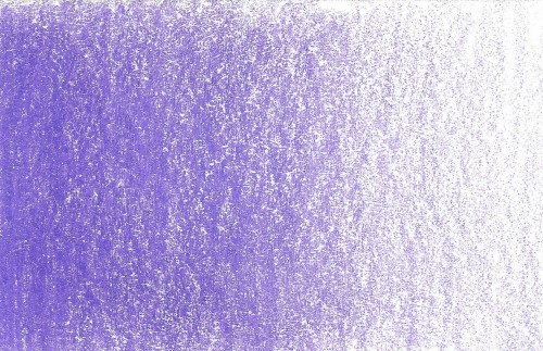iris purple.jpg