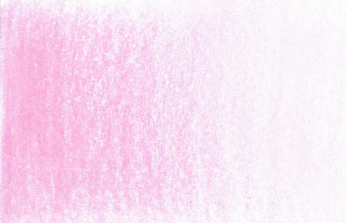 pink heather.jpg