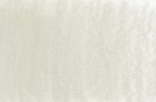 morning mist.jpg