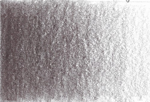 coffee bean.jpg