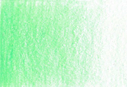 green meadow.jpg