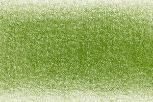 Chromaflow Pencil Oliveine 1801.jpg