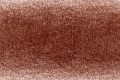 Chromaflow Pencil Willow 2003.jpg