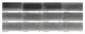 CBT51127_Graphic Medium 12 tin swatches.jpg