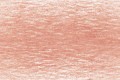 1650 Light Rust.jpg