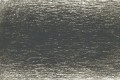 6720 Forest.jpg
