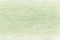 5110 Light Moss.jpg