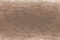 5550 Warm Earth.jpg