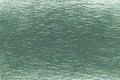 5130 Rainforest.jpg